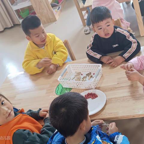 小五班开心幼儿园之第四周