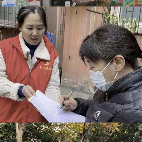 湖滨区机关事务管理局开展“党员组织双服务、我为创文做贡献”主题党日活动