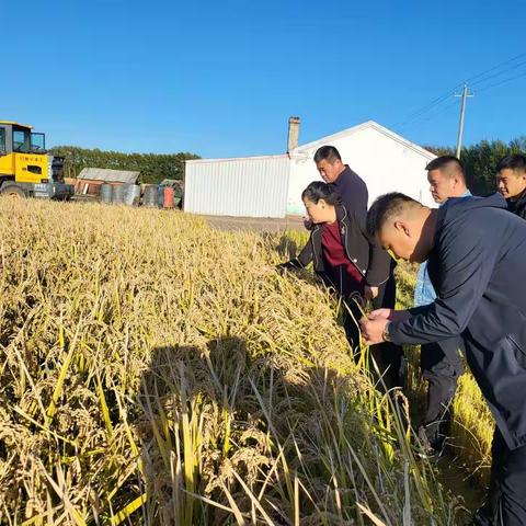 秋收一线党旗红