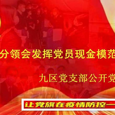 大兴九区党支部发挥党员先锋模范作用公开党课