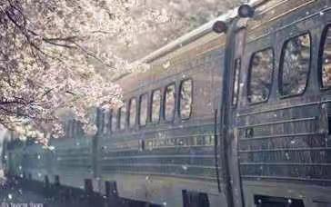 走的最急的都是最美的时光