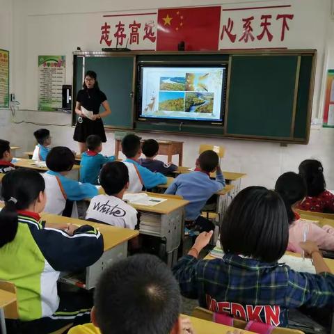 我们一直在努力--记南乡小学小组构建教研活动