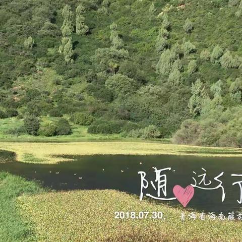 再游贵德龙王池——我心中的香格里拉