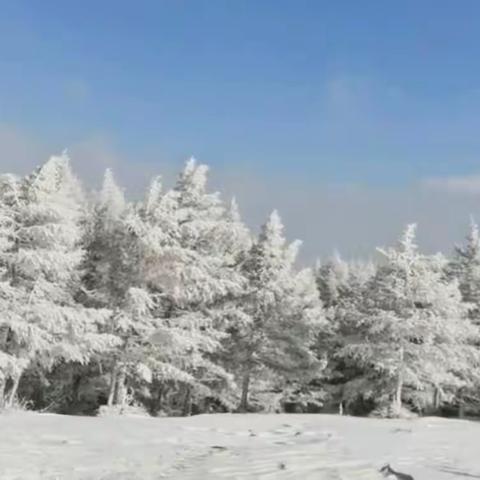 “冰雪·暖冬景点推荐官”有奖讨论活动记录