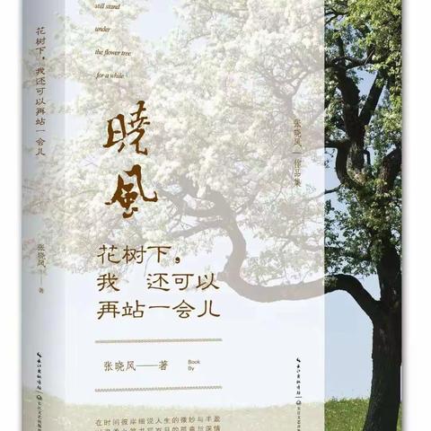 《花树下，我还可以再站一会儿》辑二—莎小妹和苏小妹