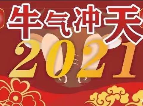 回顾2020，展望2021——用心培育，静待花开!