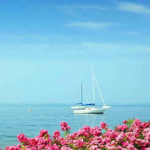 立夏时节重养心，岁月静好人安稳