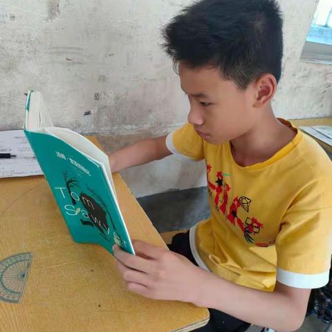 走进《汤姆.索亚历险记》——罗坳镇里鱼小学谢文灿