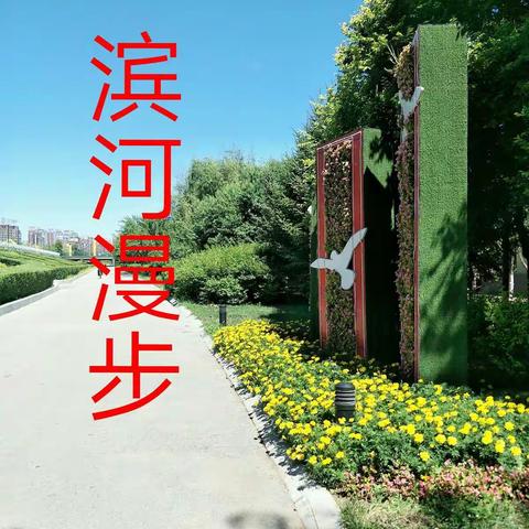 滴水穿石的美篇