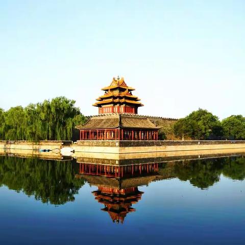 北海荷花及抓拍……