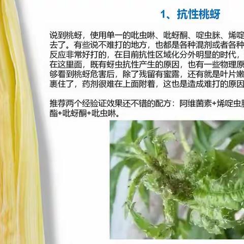 最难打的8种虫子，用好这些配方，药到虫死