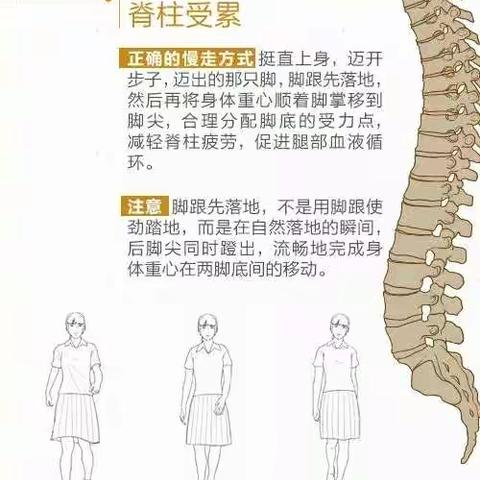 趁年轻保护脊柱，远离肩颈腰背不适！