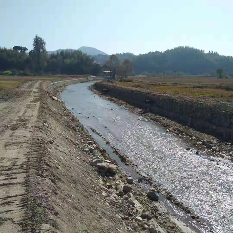 黄坊乡加快推进将上小流域水土流失综合治理项目建设