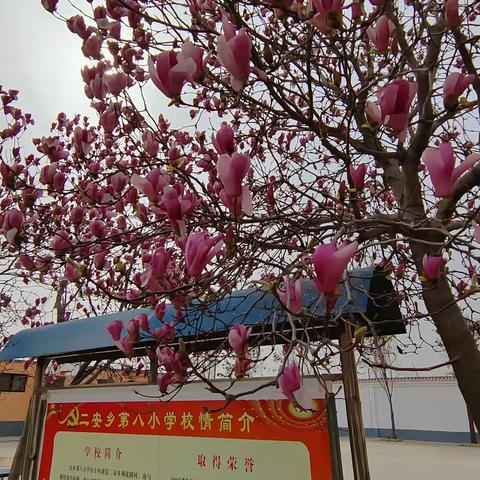 凝聚集体智慧，打造高效课堂——二安镇四年级数学集体备课活动