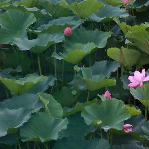 深入排查，不漏掉一人