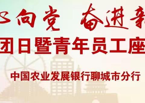 农发行聊城市分行召开“青春心向党  奋力新征程”主题团日暨青年员工座谈会