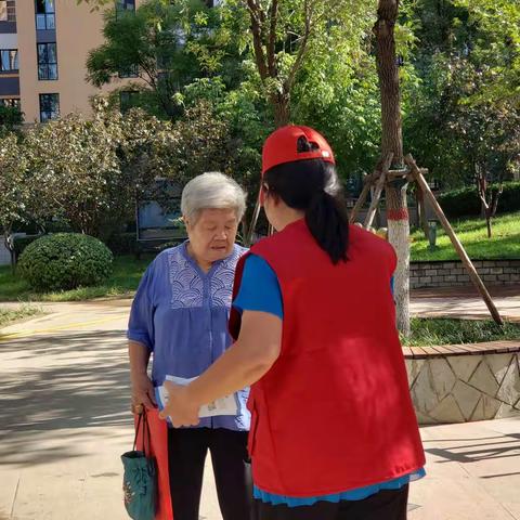 丽景溪城社区创城进行时