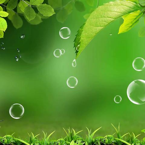 爱绿 护绿—第三小学四年八班实践活动