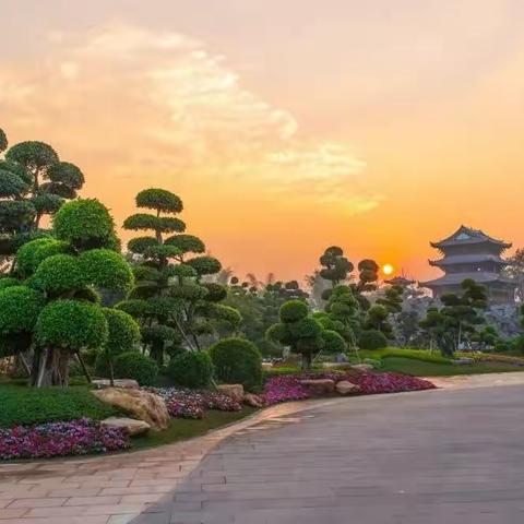 南宁园博园——罗汉松园