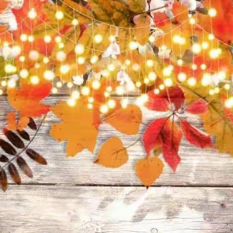 聚焦课堂教学，提高教学质量！——南陈集中心小学语文示范课活动