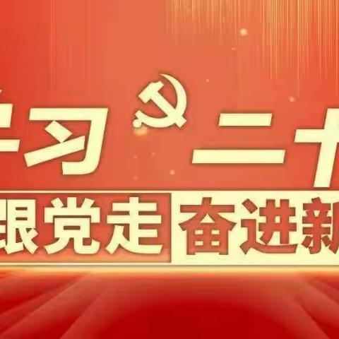 学习宣传贯彻党的二十大精神——教师进修学校驻南岩街道贞畈村乡村振兴工作队员徐黎