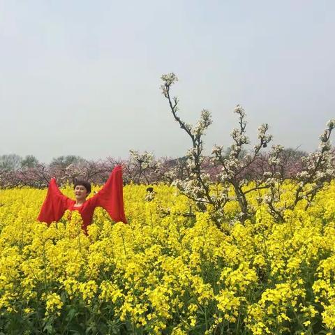 三月周谭大山村赏春