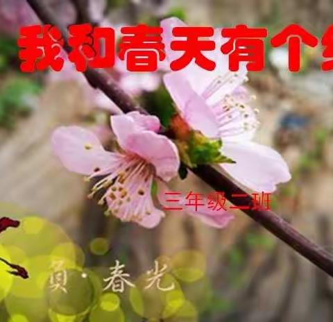 我和春天有个约                                 ——三年级二班的寻花记