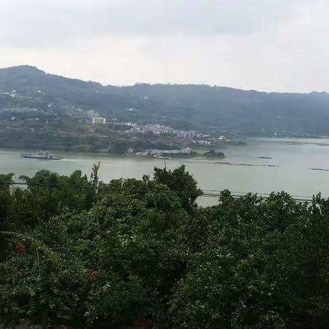 人过40，乡愁更浓……