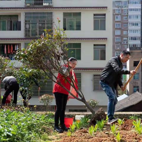 实验小学在职二支部“拥抱春天，播种绿色”主题党日活动