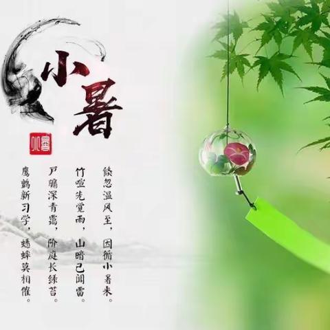 金龙苑幼儿园大二班开展二十四节气“小暑”主题活动