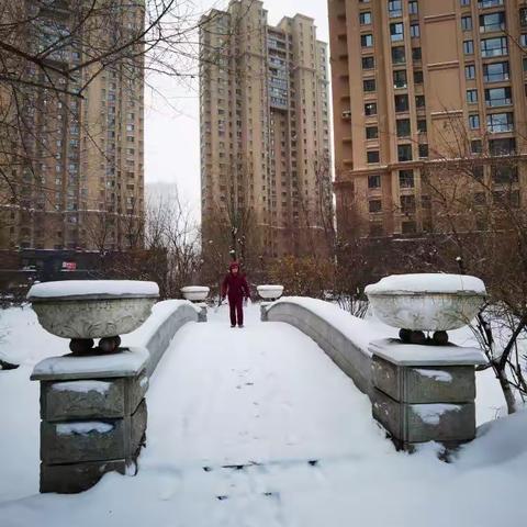 涧桥西畔的第二场雪20231123早晨