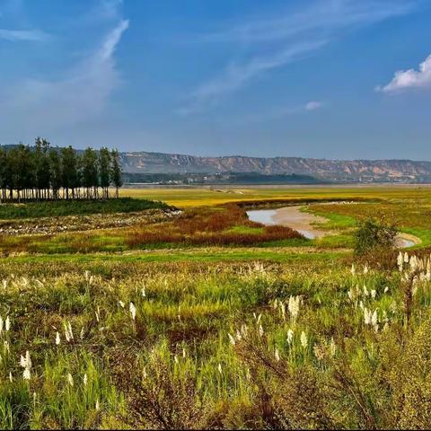 认识中原（一）