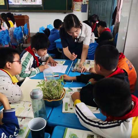 课题引领，砥砺奋进——《小学科学课堂有效性教学的评价策略研究》区级课题研讨活动