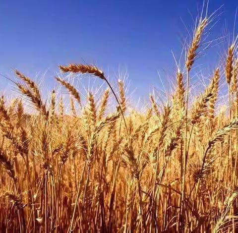 暑假地理实践作业——211363朱俊熙