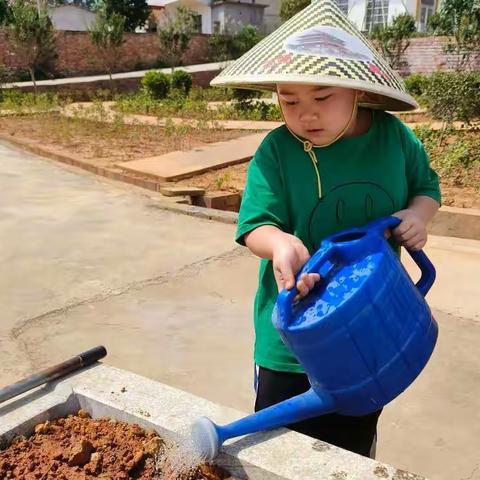 我的田间地头我做主