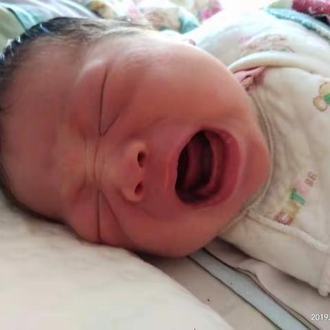 吾家有女初长成