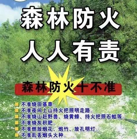 森林防火   人人有责——袁村小学森林防火安全教育主题活动