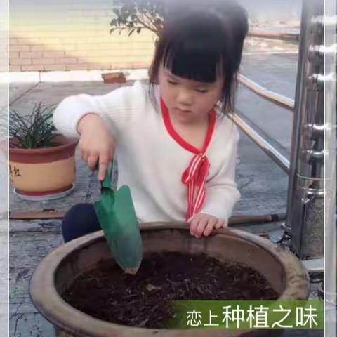 我的美篇