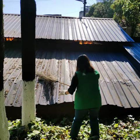 开展卫生整治，营造清洁环境