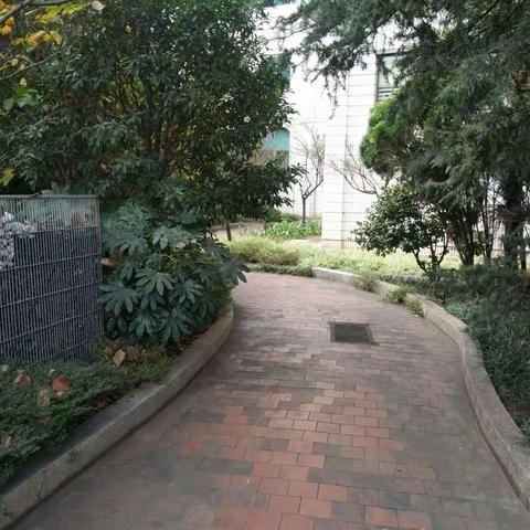 同心协力，改善宾馆大环境――记宾馆党小组10月31日党小组主题日活动