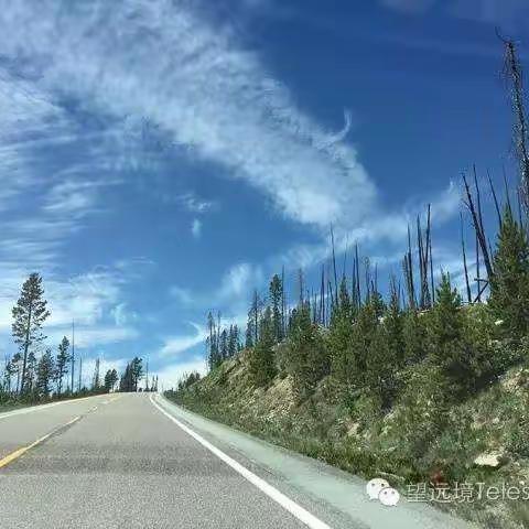 021黄石国家公园之深入黄石