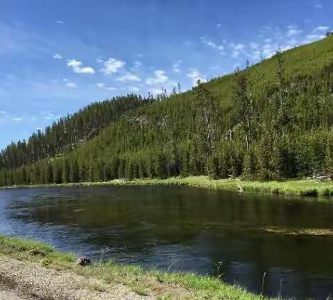 024黄石国家公园之再入黄石