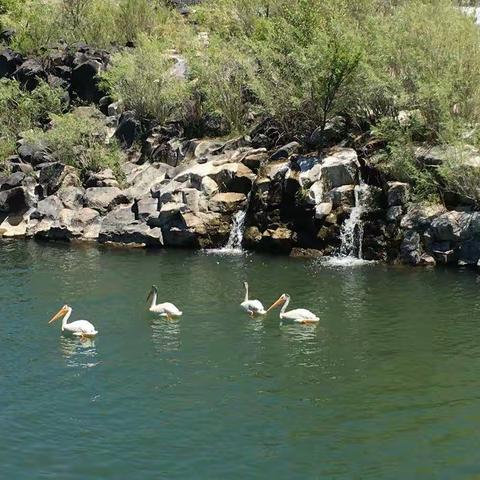 029漫游爱达荷福尔斯