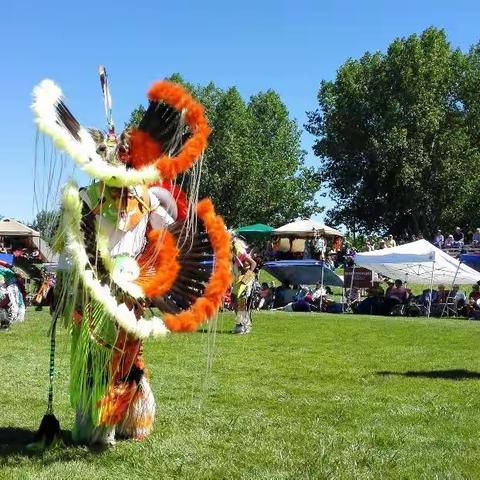 017科迪、印第安人和牛仔