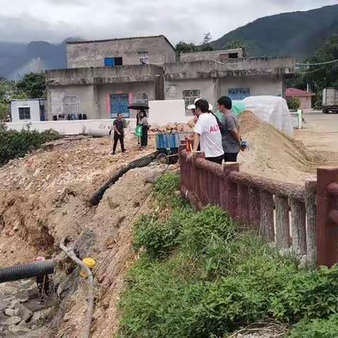 马齿桥项目现场办公，推进项目进展