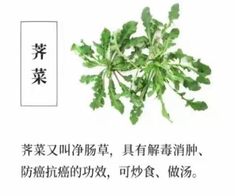 遇见春天～野菜正当时