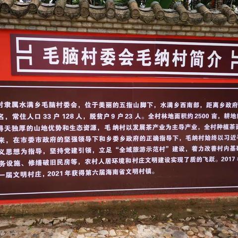 长流中心卫生院党支部“参观五指山毛纳村，庆七·一”主题活动