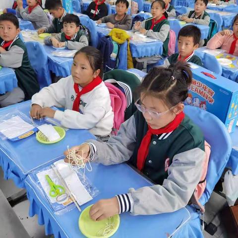 锦绣学校四年级鲨鱼2班-神奇杠杆在哪里