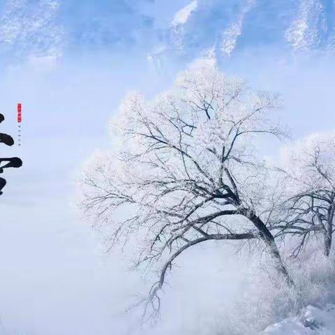 雪花飞