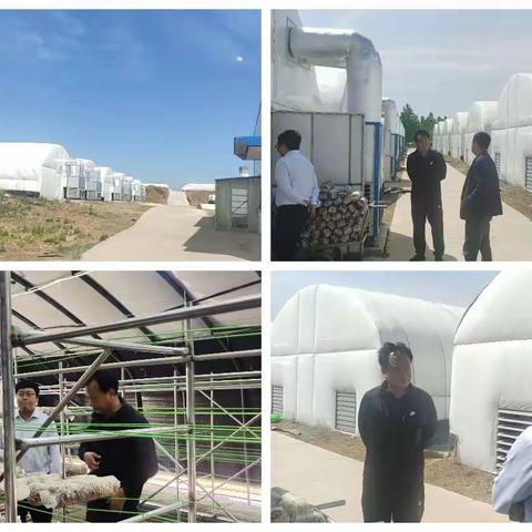 新安县农业农村局组织考察乡村振兴十大项目